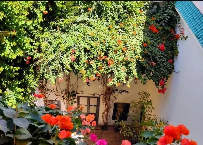 Bougainvillea Riad Marrakesh